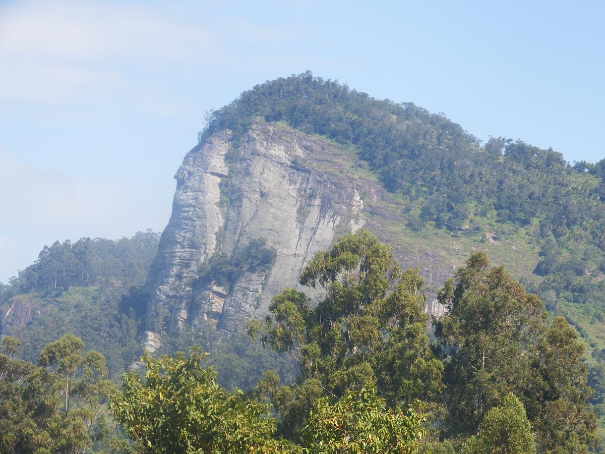 Lavender Garden Hotel Wundanyi Exterior photo